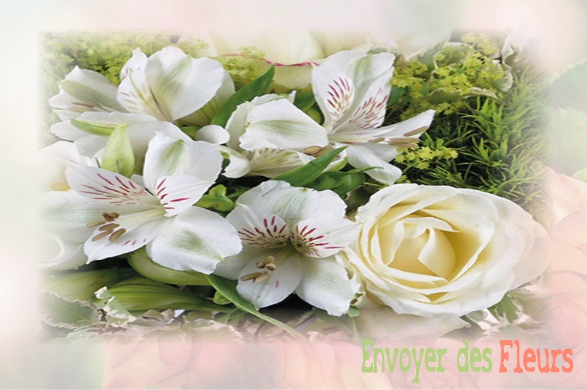 envoyer des fleurs à à VILLERS-EN-VEXIN
